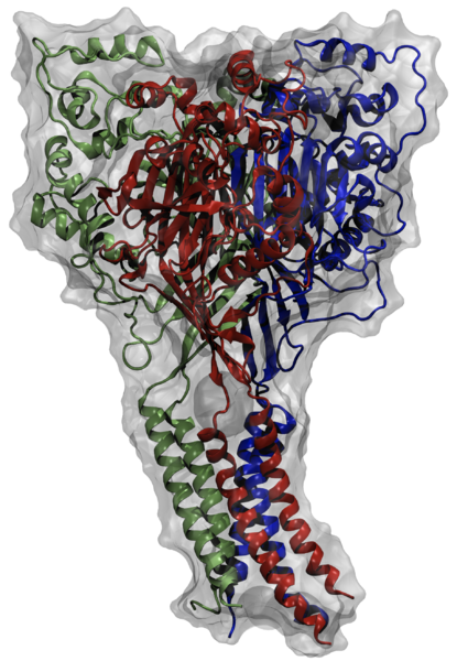 File:Protein ASIC 1.png